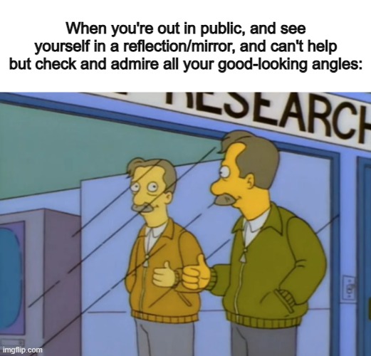 I do this so often ngl :] | When you're out in public, and see yourself in a reflection/mirror, and can't help but check and admire all your good-looking angles: | image tagged in whalmar,ty ptsd for the meme idea | made w/ Imgflip meme maker