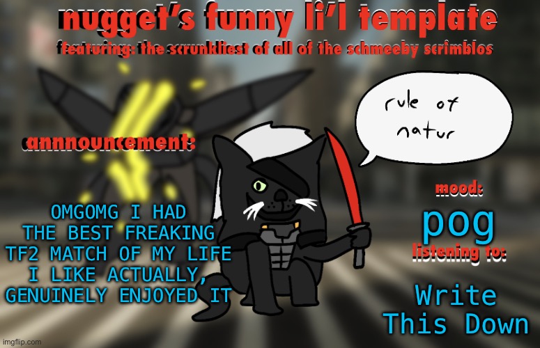 the adventures of raiden cat | OMGOMG I HAD THE BEST FREAKING TF2 MATCH OF MY LIFE I LIKE ACTUALLY, GENUINELY ENJOYED IT; pog; Write This Down | image tagged in the adventures of raiden cat | made w/ Imgflip meme maker