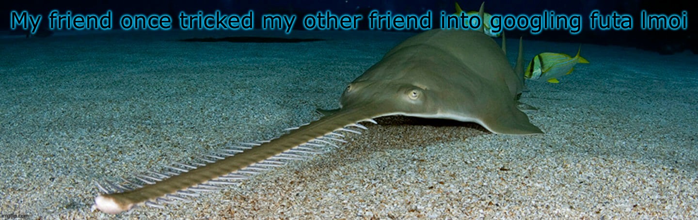 Cool sawfish | My friend once tricked my other friend into googling futa lmoi | image tagged in cool sawfish | made w/ Imgflip meme maker