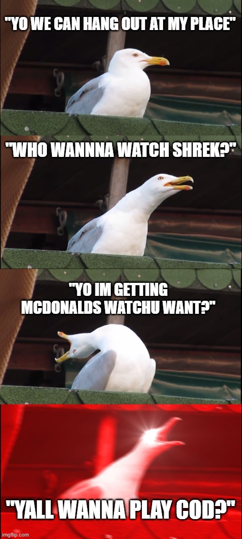 Inhaling Seagull | "YO WE CAN HANG OUT AT MY PLACE"; "WHO WANNNA WATCH SHREK?"; "YO IM GETTING MCDONALDS WATCHU WANT?"; "YALL WANNA PLAY COD?" | image tagged in memes,inhaling seagull,game,seagull,me and the boys | made w/ Imgflip meme maker