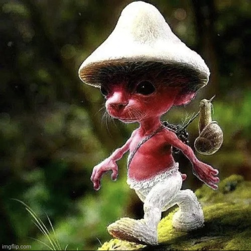 Red Smurf Cat | image tagged in red smurf cat | made w/ Imgflip meme maker