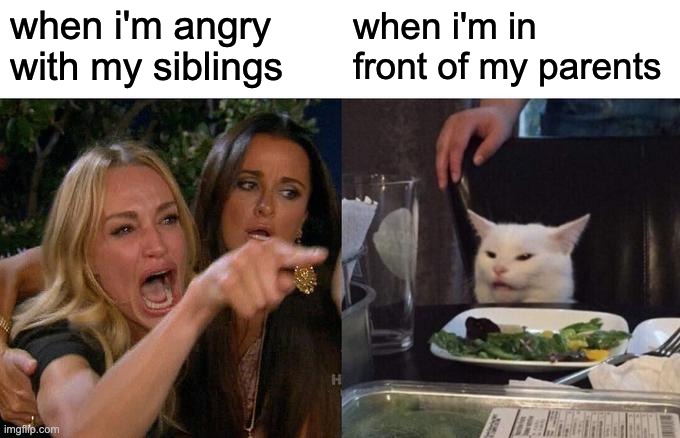 facts | when i'm angry with my siblings; when i'm in front of my parents | image tagged in memes,woman yelling at cat | made w/ Imgflip meme maker