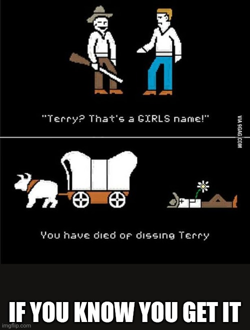 My art teacher showed me this today | IF YOU KNOW YOU GET IT | image tagged in the oregon trail,old video games,dissentary,rip | made w/ Imgflip meme maker
