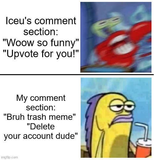 Disappointment | Iceu's comment section: "Woow so funny" "Upvote for you!"; My comment section: "Bruh trash meme" 
"Delete your account dude" | image tagged in excited vs bored | made w/ Imgflip meme maker