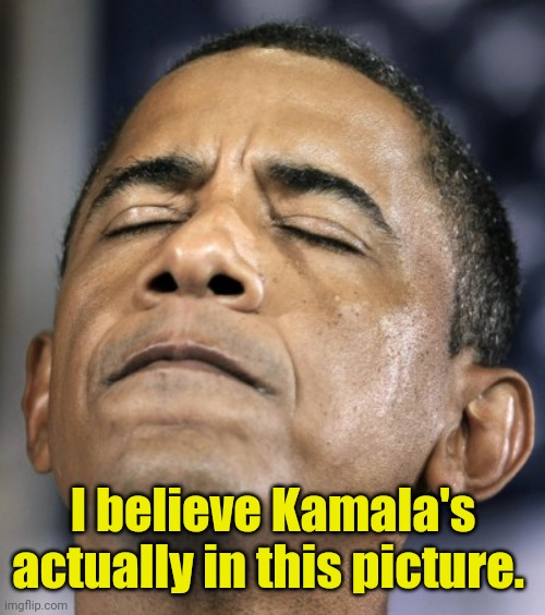 obama-distraught-goddammit-doh-fail | I believe Kamala's actually in this picture. | image tagged in obama-distraught-goddammit-doh-fail | made w/ Imgflip meme maker