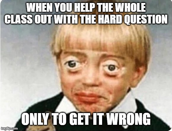 Current Objective: SURVIVE | WHEN YOU HELP THE WHOLE CLASS OUT WITH THE HARD QUESTION; ONLY TO GET IT WRONG | image tagged in steve buscemi child | made w/ Imgflip meme maker