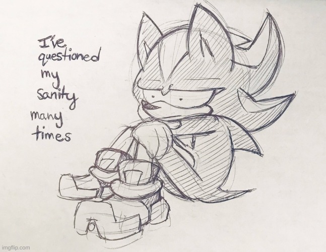 i feel like shit rn | image tagged in shadow ive questioned my sanity many times | made w/ Imgflip meme maker
