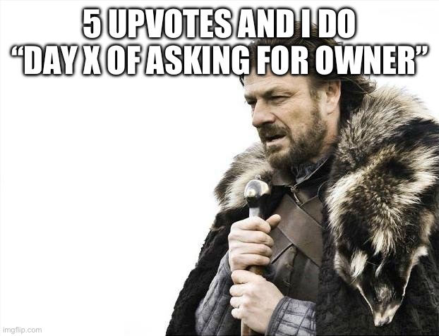 Brace Yourselves X is Coming | 5 UPVOTES AND I DO “DAY X OF ASKING FOR OWNER” | image tagged in memes,brace yourselves x is coming | made w/ Imgflip meme maker