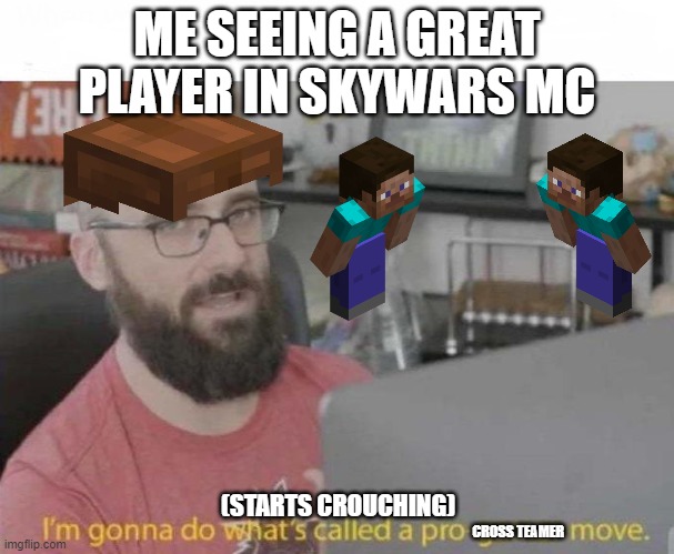 Pro Gamer move | ME SEEING A GREAT PLAYER IN SKYWARS MC; (STARTS CROUCHING); CROSS TEAMER | image tagged in pro gamer move | made w/ Imgflip meme maker