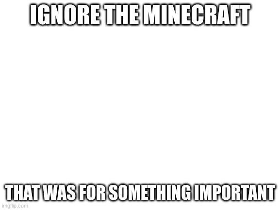 waffls | IGNORE THE MINECRAFT; THAT WAS FOR SOMETHING IMPORTANT | image tagged in blank white template | made w/ Imgflip meme maker