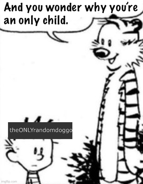 And you wonder why you’re an only child | image tagged in and you wonder why you re an only child | made w/ Imgflip meme maker