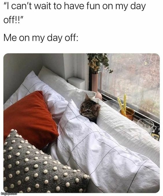 image tagged in memes | made w/ Imgflip meme maker