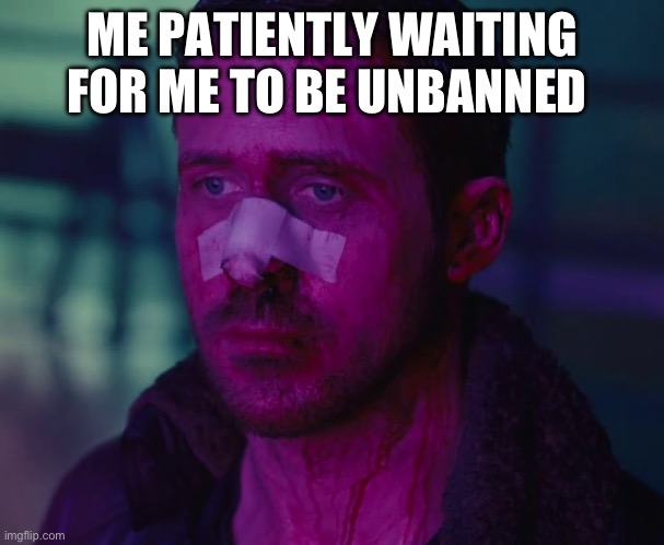 Imagine being sit banned ??? | ME PATIENTLY WAITING FOR ME TO BE UNBANNED | image tagged in sad ryan gosling | made w/ Imgflip meme maker