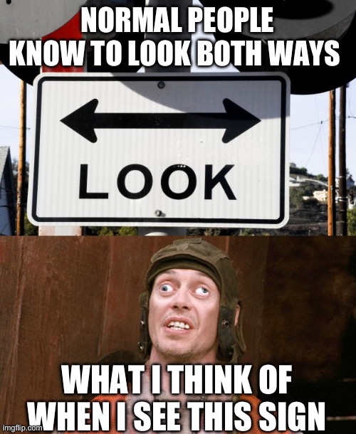 Train Sign | NORMAL PEOPLE KNOW TO LOOK BOTH WAYS; WHAT I THINK OF WHEN I SEE THIS SIGN | image tagged in look both ways,googly eyes | made w/ Imgflip meme maker