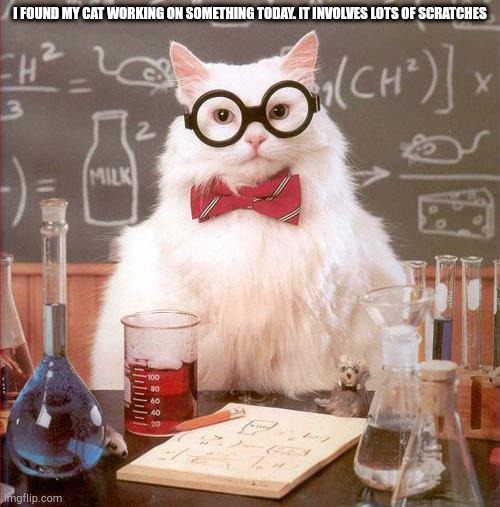 Science Cat | I FOUND MY CAT WORKING ON SOMETHING TODAY. IT INVOLVES LOTS OF SCRATCHES | image tagged in science cat | made w/ Imgflip meme maker