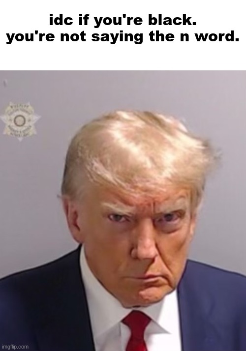 Donald Trump Mugshot | idc if you're black.
you're not saying the n word. | image tagged in donald trump mugshot | made w/ Imgflip meme maker