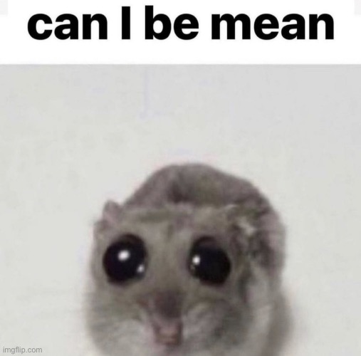 Can I be mean | image tagged in can i be mean | made w/ Imgflip meme maker