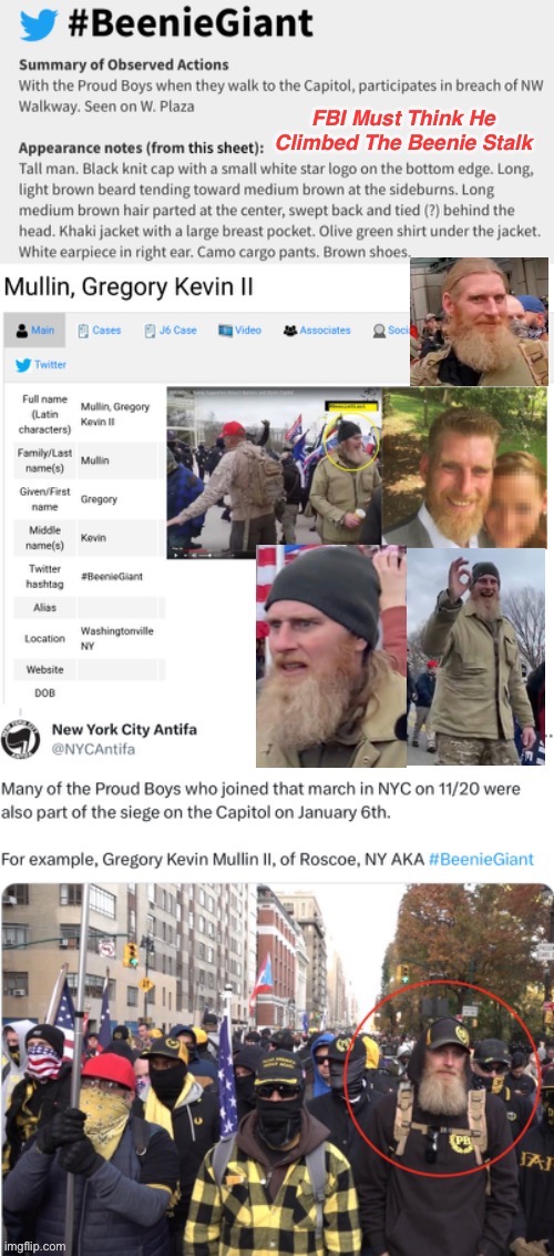 Hiding In Plain Sight | image tagged in domestic terrorists,treason,fbi catches when they can wink wink | made w/ Imgflip meme maker