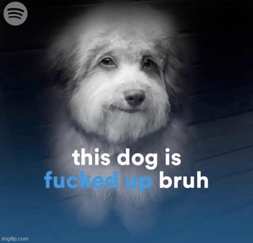 real | made w/ Imgflip meme maker