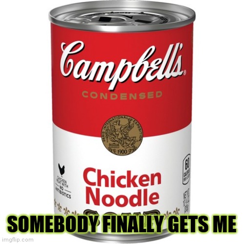 Chicken Noodle Soup | SOMEBODY FINALLY GETS ME | image tagged in chicken noodle soup | made w/ Imgflip meme maker