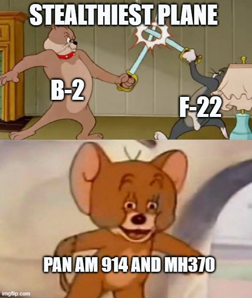 Tom and Jerry swordfight | STEALTHIEST PLANE; B-2; F-22; PAN AM 914 AND MH370 | image tagged in tom and jerry swordfight | made w/ Imgflip meme maker