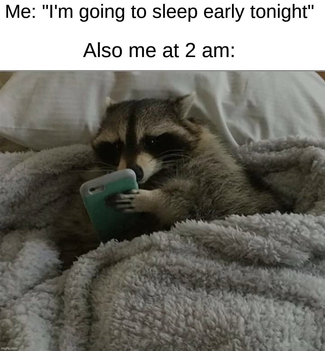 Like that's ever gonna happen | Me: "I'm going to sleep early tonight"; Also me at 2 am: | image tagged in raccoon in bed,memes,funny,true story,relatable memes,sleep | made w/ Imgflip meme maker