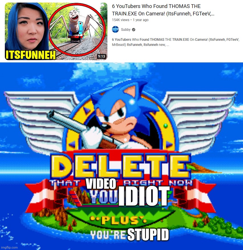 Don't use her for clickbait. She deserves better! | VIDEO; IDIOT; STUPID | image tagged in sonic holding a shotgun to tell you to delete,itsfunneh,clickbait | made w/ Imgflip meme maker