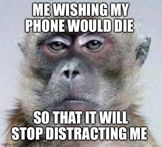 Vexed Monkey | ME WISHING MY PHONE WOULD DIE; SO THAT IT WILL STOP DISTRACTING ME | image tagged in vexed monkey | made w/ Imgflip meme maker