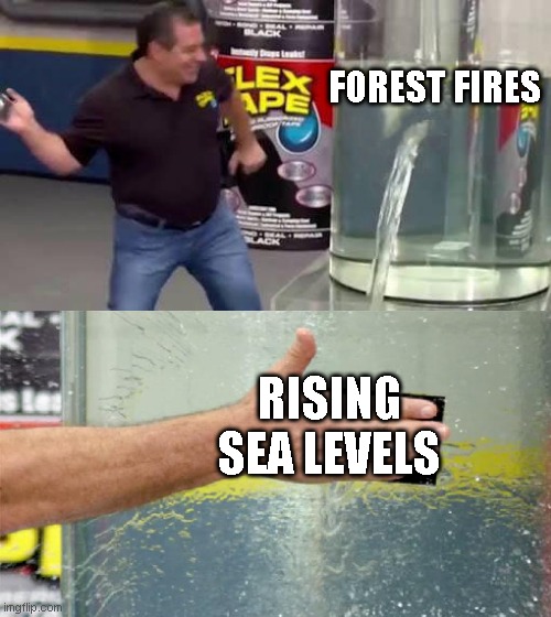 Flex Tape | FOREST FIRES RISING SEA LEVELS | image tagged in flex tape | made w/ Imgflip meme maker