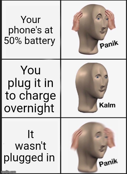 NoOOoOOoOo | Your phone's at 50% battery; You plug it in to charge overnight; It wasn't plugged in | image tagged in memes,panik kalm panik | made w/ Imgflip meme maker
