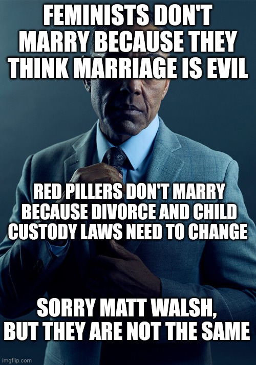Gus Fring we are not the same | FEMINISTS DON'T MARRY BECAUSE THEY THINK MARRIAGE IS EVIL; RED PILLERS DON'T MARRY BECAUSE DIVORCE AND CHILD CUSTODY LAWS NEED TO CHANGE; SORRY MATT WALSH, BUT THEY ARE NOT THE SAME | image tagged in gus fring we are not the same | made w/ Imgflip meme maker
