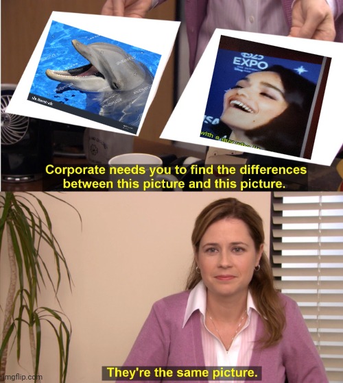 They're The Same Picture | image tagged in memes,they're the same picture | made w/ Imgflip meme maker