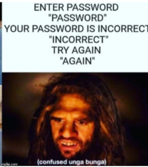 You can't take something much more literally than this | image tagged in memes,funny,confused unga bunga,password | made w/ Imgflip meme maker