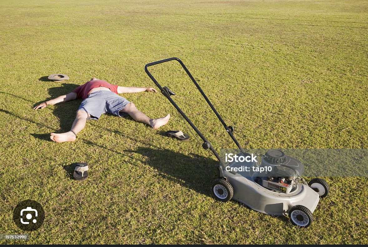 Lawn funny Blank Meme Template