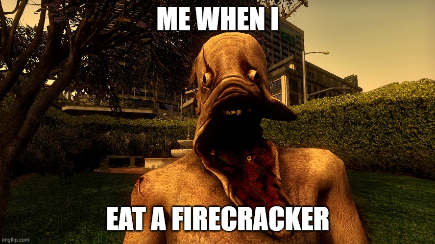 Unfortunate | ME WHEN I; EAT A FIRECRACKER | image tagged in certified bruh moment | made w/ Imgflip meme maker