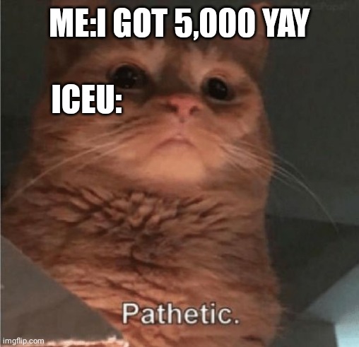 Pathetic Cat | ME:I GOT 5,000 YAY; ICEU: | image tagged in pathetic cat | made w/ Imgflip meme maker