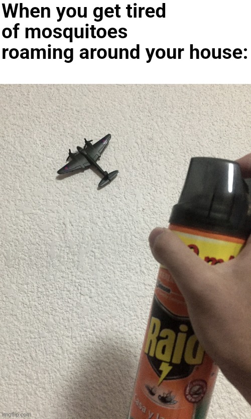 No, I do not own the photo. I randomly found it | When you get tired of mosquitoes roaming around your house: | image tagged in memes,funny,planes,bad joke | made w/ Imgflip meme maker
