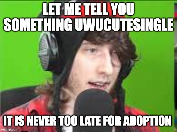 LET ME TELL YOU SOMETHING UWUCUTESINGLE IT IS NEVER TOO LATE FOR ADOPTION | made w/ Imgflip meme maker