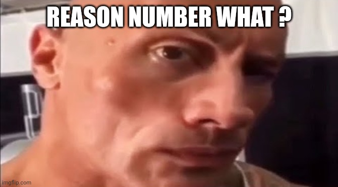 the rock eyebrow | REASON NUMBER WHAT ? | image tagged in the rock eyebrow | made w/ Imgflip meme maker