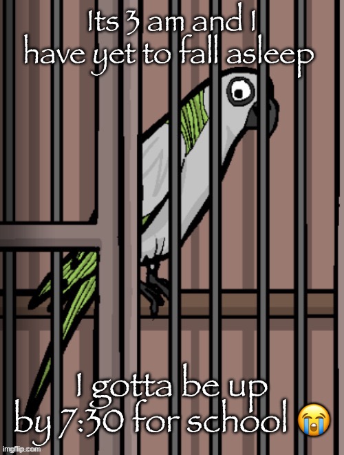 Bird on crack | Its 3 am and I have yet to fall asleep; I gotta be up by 7:30 for school 😭 | image tagged in bird on crack | made w/ Imgflip meme maker