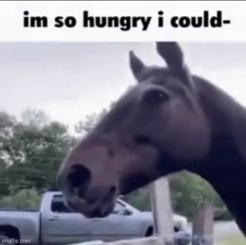 How hungry? - Imgflip