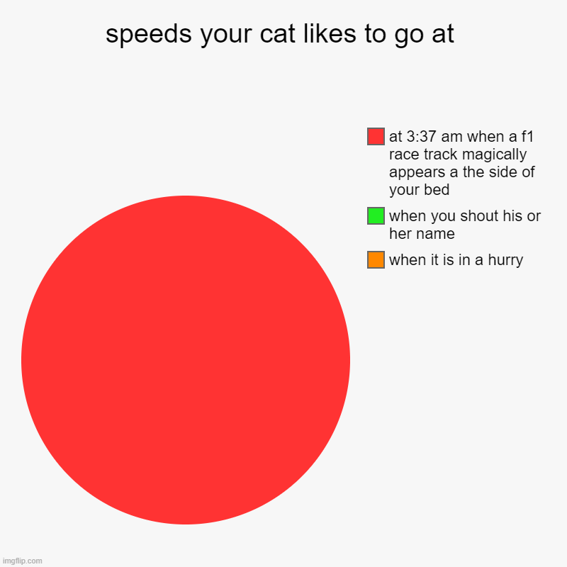 speeds your cat likes to go at | when it is in a hurry, when you shout his or her name, at 3:37 am when a f1 race track magically appears a  | image tagged in charts,pie charts | made w/ Imgflip chart maker