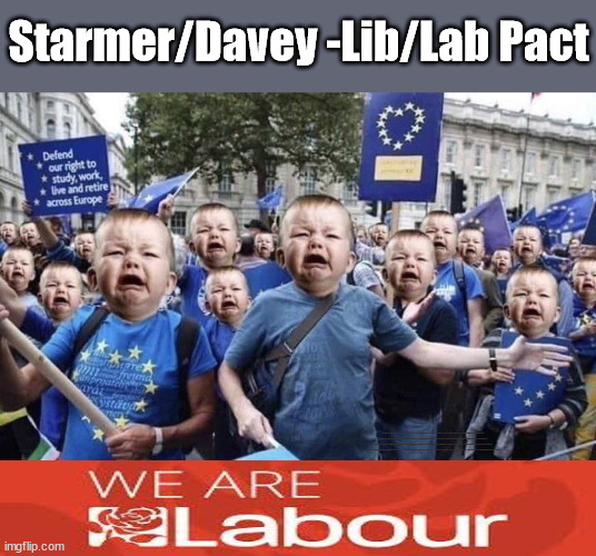 Starmer/Davey -Lib/Lab Pact - Screaming re-moaners | Starmer/Davey -Lib/Lab Pact; LibDem Sir Ed Davey drops pledge to help the NHS (1p on income tax); In hope of grabbing a slice of power Lib/Lab Pact Lib/Lab Grubby deals #Immigration #Starmerout #Labour #wearecorbyn #KeirStarmer #DianeAbbott #McDonnell #cultofcorbyn #labourisdead #labourracism #socialistsunday #nevervotelabour #socialistanyday #Antisemitism #Savile #SavileGate #Paedo #Worboys #GroomingGangs #Paedophile #IllegalImmigration #Immigrants #Invasion #StarmerResign #Starmeriswrong #SirSoftie #SirSofty #Blair #Steroids #Economy #LibLabPact #EdDavey #LibDim #LibDem #Brexit #RejoinEU; Ed Davey drops key tax rise pledge to align with Labour policy; Vote Labour - Get Lib/Lab Pact vote LibDem Labours Con tricks | image tagged in brexit remoaners,illegal immigration,labourisdead,stop boats rwanda echr,20 mph ulez eu 4th tier,eu quidproquo burdensharing | made w/ Imgflip meme maker