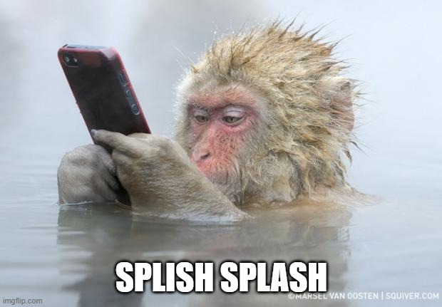 monkey mobile phone | SPLISH SPLASH | image tagged in monkey mobile phone | made w/ Imgflip meme maker