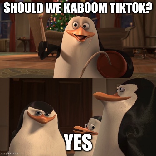 I hate Tiktok | SHOULD WE KABOOM TIKTOK? YES | image tagged in madagascar penguin kaboom,tiktok sucks | made w/ Imgflip meme maker