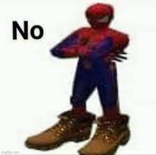 No spiderman | image tagged in no spiderman | made w/ Imgflip meme maker
