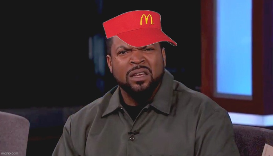 Really? Ice Cube | image tagged in really ice cube | made w/ Imgflip meme maker