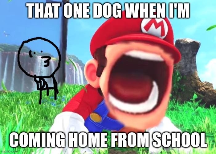 Mario screaming but dogs | THAT ONE DOG WHEN I'M; COMING HOME FROM SCHOOL | image tagged in mario screaming,dog | made w/ Imgflip meme maker