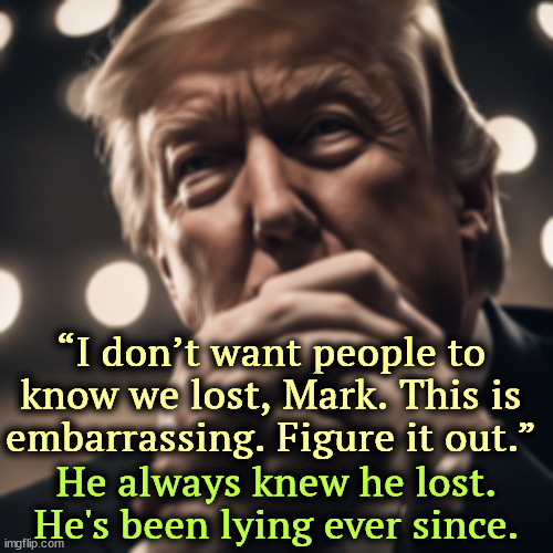 He said it in front of witnesses. | “I don’t want people to know we lost, Mark. This is embarrassing. Figure it out.”; He always knew he lost. He's been lying ever since. | image tagged in trump,loser,liar,embarrassed | made w/ Imgflip meme maker