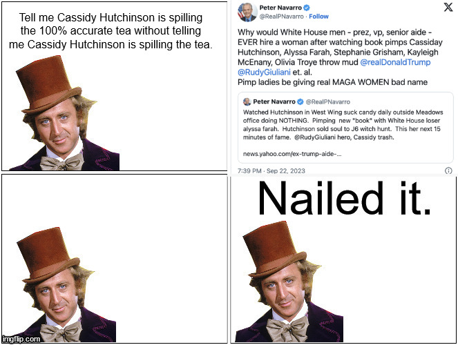 Nailed It Wonka | Tell me Cassidy Hutchinson is spilling the 100% accurate tea without telling me Cassidy Hutchinson is spilling the tea. | image tagged in nailed it wonka | made w/ Imgflip meme maker